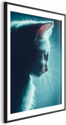 Produktbild von Posterpapier Poster - Night Wanderer 40x60 cm Tiere g-B-0135-ao-a