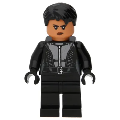 Image de LEGO DC : Selina Kyle