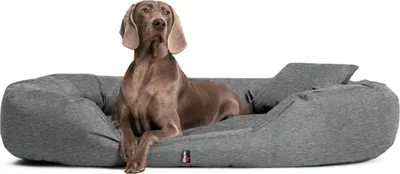 Produktbild von tierlando® Orthopädisches Hundebett SAMMY | Robuster Polyester | Dicke Umrandung - Größe: 140x105cm | Farbe: L99 Dunkelgrau Meliert
