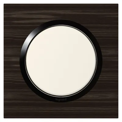 Image de Legrand 600881, 1 pièce