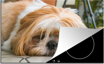 Produktbild von KitchenYeah© Herdabdeckplatte Ein Shih Tzu Hund liegt schlafend auf dem Boden , 81x52cm, Küche Deko, Glaskeramikkochfeld Herdabdeckung, Abdeckplatte fùr Kochfeld