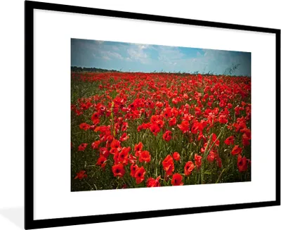 Produktbild von MuchoWow® Gerahmtes Poster Eine Wiese voller Mohnblumen 90x60 cm - Poster mit Schwarzem Bilderrahmen Wandposter Rahmen Foto Bilder - Wanddekoration - Fotos