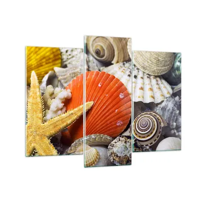 Produktbild von Bilder auf glas - Seashell Meer Strand Sand - 130x100cm - Glasbilder - Wandbilder - Kunstdruck - zum Aufhängen bereit - Wanddekoration aus Glas - Glas Bilder - Wandbild auf Glas - GCB130x100-0456