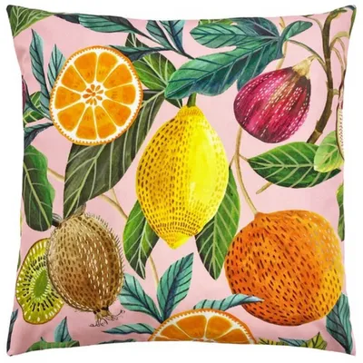 Obrázek produktu pro Evans Lichfield - Citrus - Povlak na venkovní polštář RV2536 (jedna velikost) (barevný)