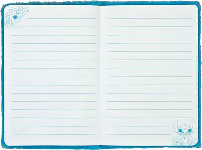 An open notebook with lined pages and a blue cover.