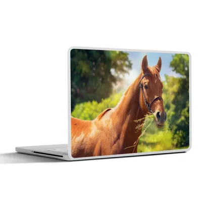 Produktbild von MuchoWow® Laptop Aufkleber Sticker Cover Pferd - Licht - Porträt 30x22 cm - Laptop-Sticker
