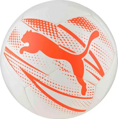 Image de Chaussures Puma 084073-17 pour Unisex