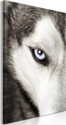 Produktbild von Italienischer Leinwand Leinwandbild - Dog's Look (1 Part) Vertical 80x120 cm Tiere g-B-0114-b-a