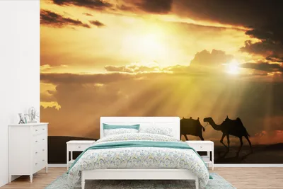 Produktbild von Fotobehang Arabische Landschaft Sonnenuntergang - 525 cm x 350 cm, Großformat, Wanddeko, Dekorationsbild