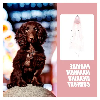 Produktbild von Haustierkrone mit Schleier – Brautschmuck für Hunde in Rosa, Accessoire für Hochzeiten, Partys und Geburtstagsfeiern
