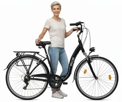 Zdjęcie produktu dla Rower Dallas City Alu 28" 7spd GE - czarny