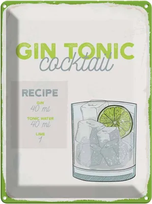 Produktbild von vianmo Blechschild 40x30 cm Gin Tonic Cocktail Recipe Essen Trinken