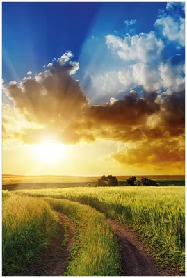 Produktbild von Wallario Premium Glasbild, freischwebende Optik, kräftige Farben, Größe 90 x 60 cm Motiv Feldweg in den Sonnenuntergang