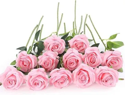 Immagine prodotto di Fiori artificiali rosa, 12 pezzi, 53 cm, per matrimoni