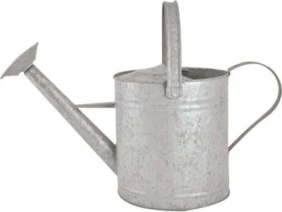 Produktbild von Famanu Gießkanne 3,5 Liter - Zink