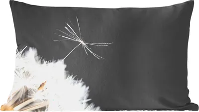 Produktbild von MuchoWow® Zierkissen Sofakissen Wohnzimmer Dekokissen 60x40 cm Blume - Löwenzahn - Pflanze - Kopfkissen - Polster mit Foto