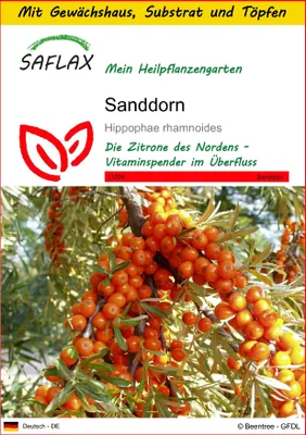 Produktbild von SAFLAX Anzucht Set - Sanddorn - Hippophae rhamnoides - 40 Samen - Mit Mini-Gewächshaus, Anzuchtsubstrat und 2 Töpfen