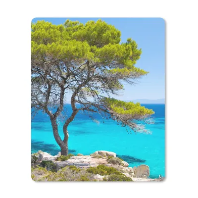 Produktbild von MuchoWow® Mauspad Mousepad Baum - Meer - Tropisch - Sommer 30x40 cm - Mousepads - Maus Mat - Pad - Mausunterlage - Mausmatten