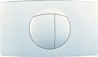 A white toilet flush plate with two buttons.