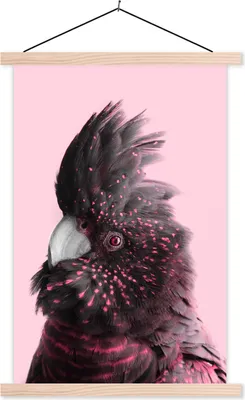 Produktbild von MuchoWow® Textilposter Kakadu - Vogel - Rosa 60x90 cm mit holzfarbenen Rahmen - Textil