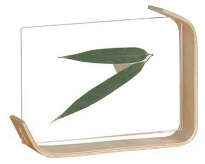 Produktbild von Desktop-Pflanzenprobenrahmen aus Holz und Acryl, schlichtes, modernes Fotoornament, Heimdekoration