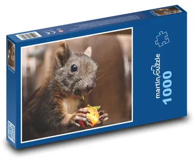 Obrázok produktu pre Puzzle 1000 Mláďa veveričky s jedlom - martinpuzzle