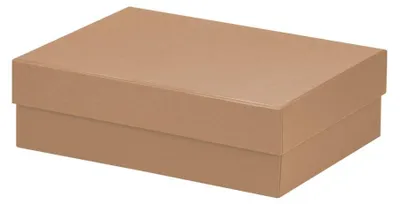 Produktbild von Kartonage 20x26x8cm Boxline kraft, 196 x 264 x 80 mm, Rössler