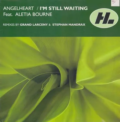 Zdjęcie produktu dla I'm Still Waiting [12 [Vinyl Single]