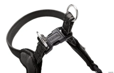 Produktbild von HUNTER Geschirr Soho Mini XS-S, schwarz