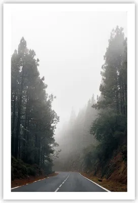 Produktbild von Poster - Poster ohne Rahmen - Weg Nebel Straße - 61x91,5 cm - Wand Bild - Wanddeko - Wandbilder - Kunstposter - Wandposter - Bilder - Kunstdruck - Wanddekoration - Wandbild - P2XPA61x91-5168