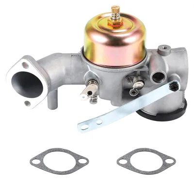 Productafbeelding van Ocnvlia carburateur met afdichting, geschikt voor motoren met de volgende onderdeelnummers: 491031, 490499, 491026, 281707. 12 PK motor. Carburetor