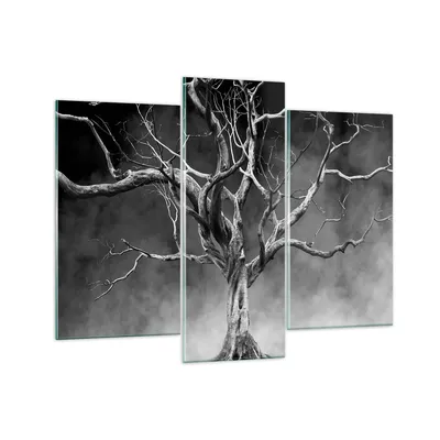 Produktbild von Bilder auf glas - 3 Teile - Schwarzweiß Äste Rauch - 130x100cm - Glasbilder - Wandbilder - Bilder - zum Aufhängen bereit - Wanddekoration aus Glas - Glas Bilder - Wandbild auf Glas - GCB130x100-4346