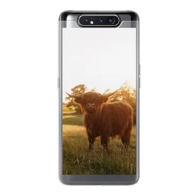 Produktbild von MuchoWow® Handyhülle Schutzhülle Hülle für Samsung Galaxy A80 Schottischer Hochländer - Gras - Sonne Silikon Softcase Handy Hülle - Schutzdeckel