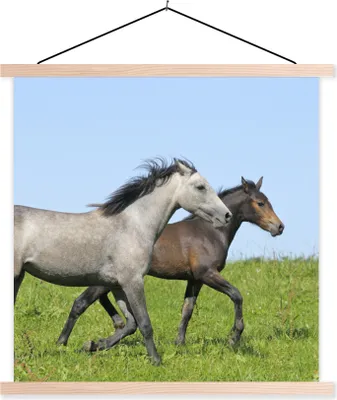 Produktbild von MuchoWow® Textilposter Pferde - Tiere - Gras 60x60 cm mit holzfarbenen Rahmen - Wanddekoration