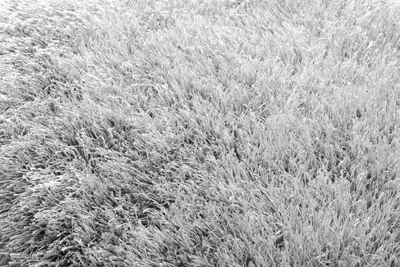 Produktbild von Teppich Polyshaggy Sense 160x230 cm Peyer-Syntex