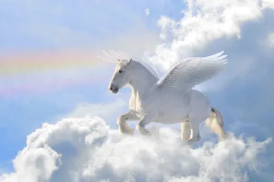 Produktbild von Papermoon VLIES Fototapete, Digitaldruck,  Pegasus in den Wolken (493)