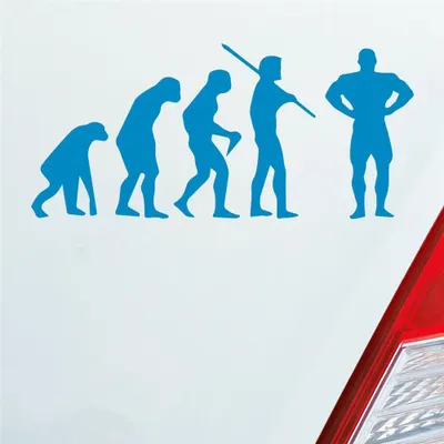 Produktbild von Auto Aufkleber Evolution Fitness Sport Bodybuilding 15x7 cm Hellblau Sticker Heckscheibenaufkleber