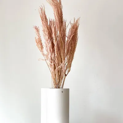 Produktbild von Konservierter Farn 1 Bund (Mini Pink oder Rosa - Trockenblumen Floristik 60-75cm