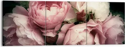 Produktbild von Bild auf Leinwand - Leinwandbild - Pfingstrose Blume - 150x50cm - Wand Bild - Wanddeko - Wandbilder - Leinwanddruck - Bilder - Kunstdruck - Wanddekoration - Leinwand bilder - Wandkunst - CA150x50-3930