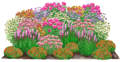 Produktbild von Dehner Bio Stauden-Set Blütenkollektion, Landlust Kollektion, 24 Pflanzen für sonnige Standorte, je 5-20 cm exkl. Pflanztopf, Ø Topf je 9 cm, lavendel / pink / rosa / weiß / orange / rot