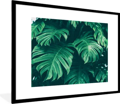 Produktbild von MuchoWow® Gerahmtes Poster Monstera - Blätter - Pflanzen - Dschungel - Natur 80x60 cm - Poster mit Schwarzem Bilderrahmen Wandposter Rahmen Foto Bilder - Schlafzimmer-Dekorationen - Fotoposter