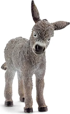 Produktbild von Schleich 13746 FARM WORLD Spielfigur - Esel Fohlen, Spielzeug ab 3 Jahren