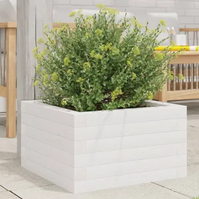Image de Maison Exclusive - Bac à plantes blanc 40x40x23 cm Bois massif Pin