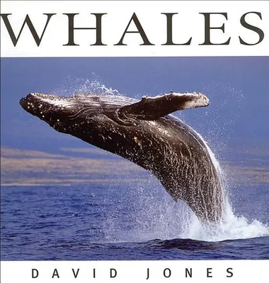 Produktbild von Whales