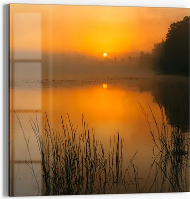 Produktbild von DEQORI Glasbild Echtglas 50x50 cm 'Morgenspiegelung' Wandbild Bild modern Deko