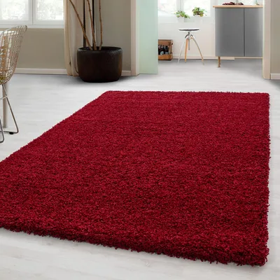 A red shaggy rug is placed on a light-colored floor in a room with furniture and plants visible in the background.