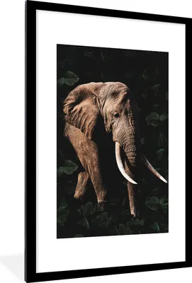 Produktbild von MuchoWow® MuchoWow® Gerahmtes Poster Elefant - Dschungel - Schwarz 60x90 cm - Poster mit zchwarzem Bilderrahmen - Dekoration - Wandposter Wohnzimmer - Hochwertig