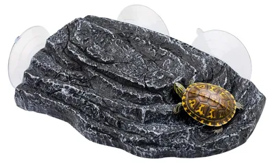 Productafbeelding van Solidchoice - Schildpadplatform met 3 Zuignappen