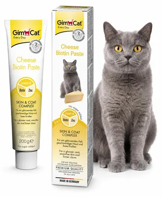 Productafbeelding van Gimpet Kattenvoer Pasta KASE-PASTE K 200g, AI-gegenereerde afbeelding