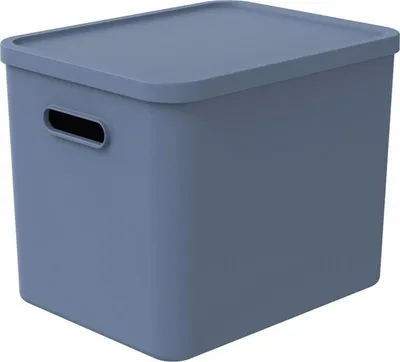 Immagine prodotto di Rotho Albula Multibox 29,5x29x37 cm 27 l Blu orizzontale